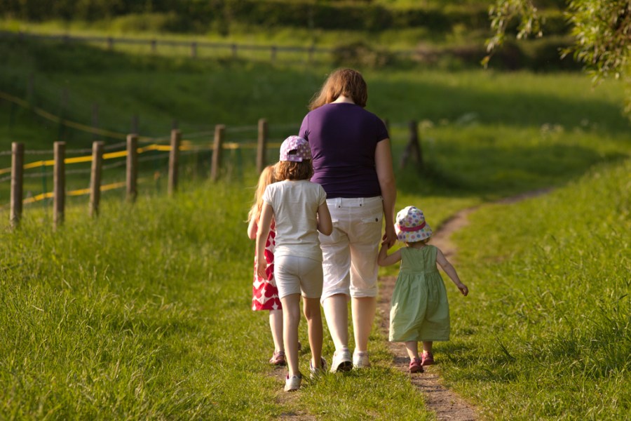 Enjoying the evening sunshine