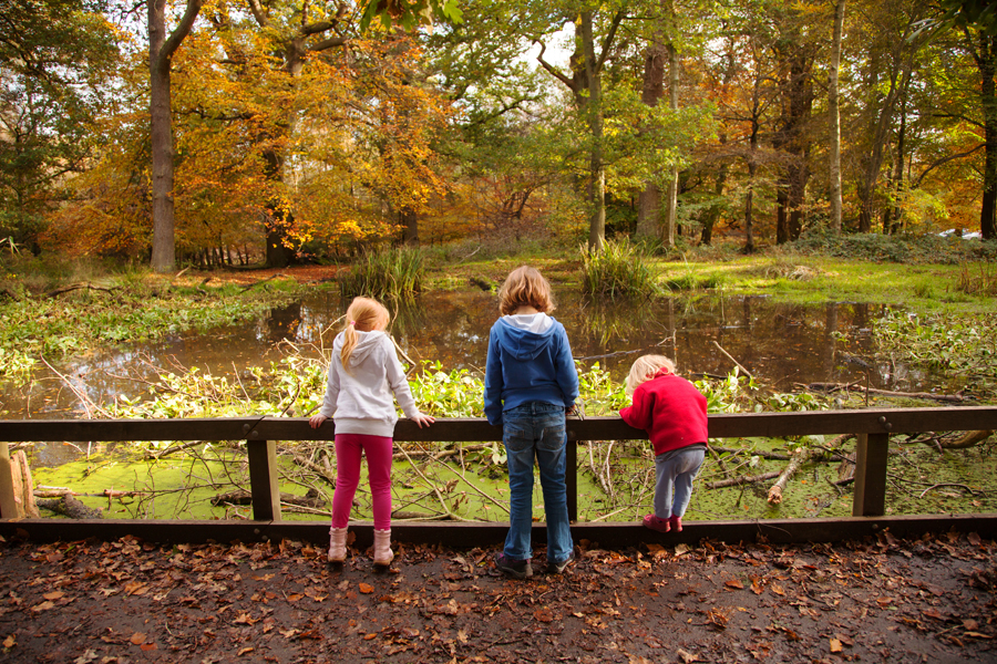 The girls in the wood