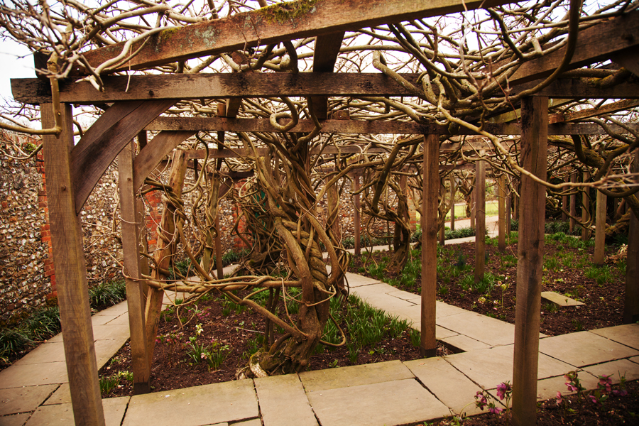 Not much sign of wisteria or bluebells this year!