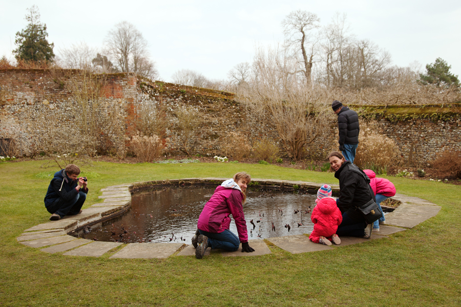Gathered around the pond