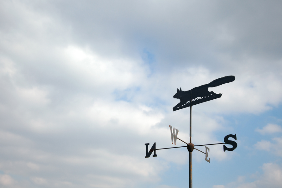 Weather vane