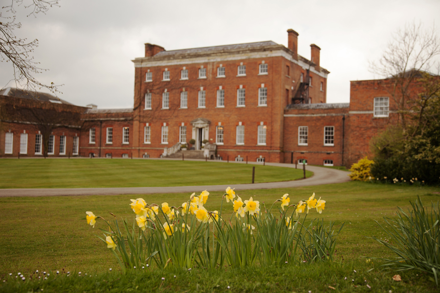 Daffodils outside the front of the College