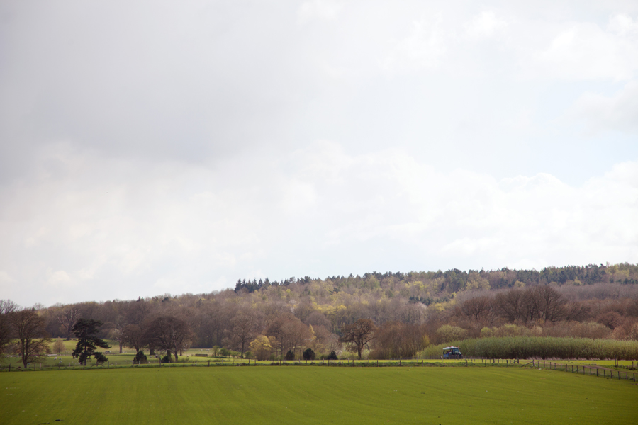 Another view from the tractor ride
