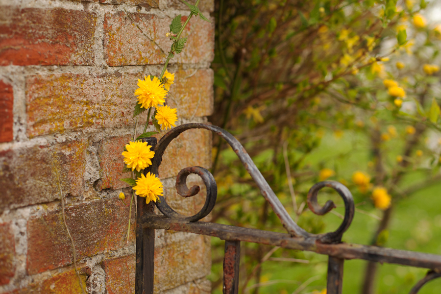 A welcome splash of colour