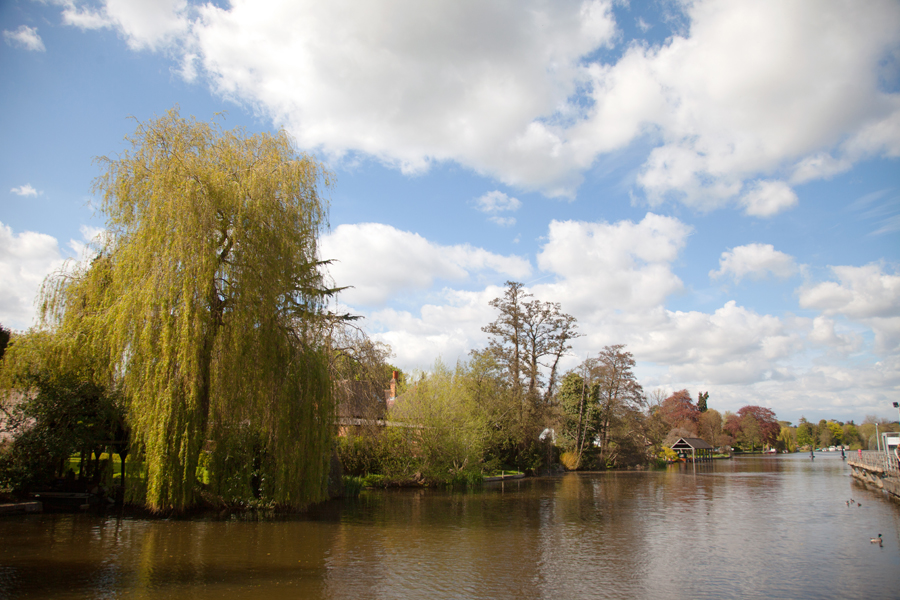 Spring by the Thames