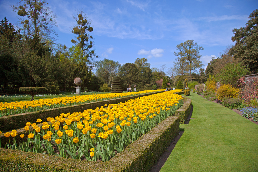 Looking down the Long Garden