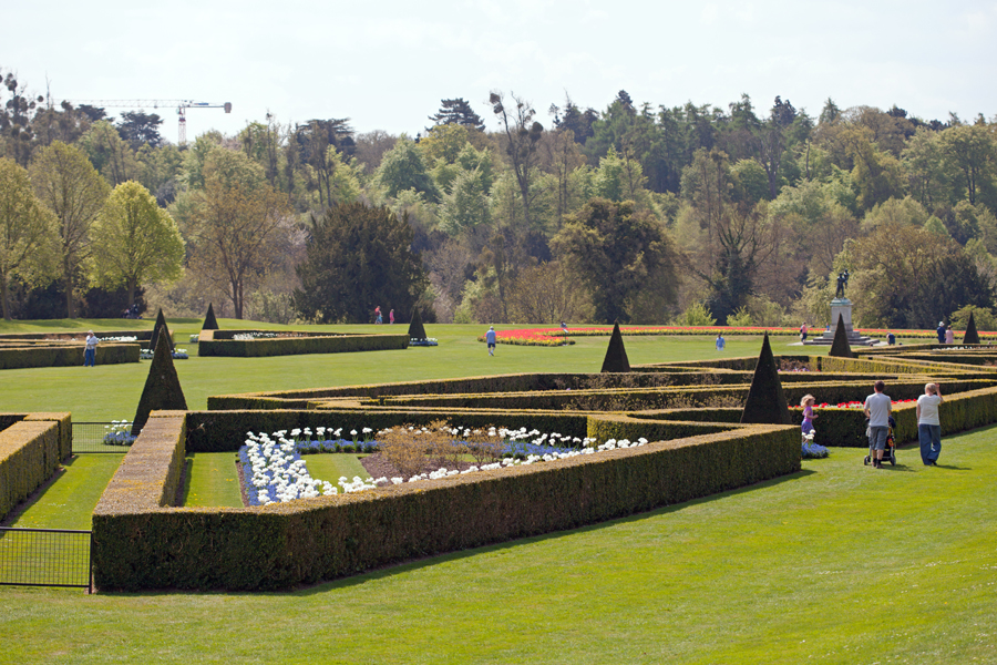 Flowers on the back lawn