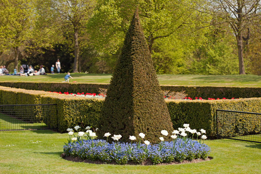 Topiary