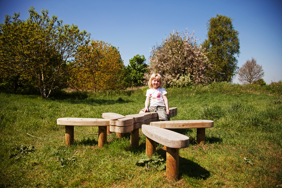 An enormous dragonfly