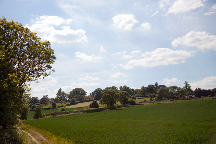 Looking up the track
