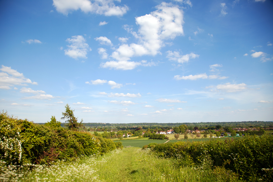Looking down the path