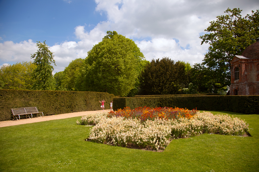 Sunshine in the garden