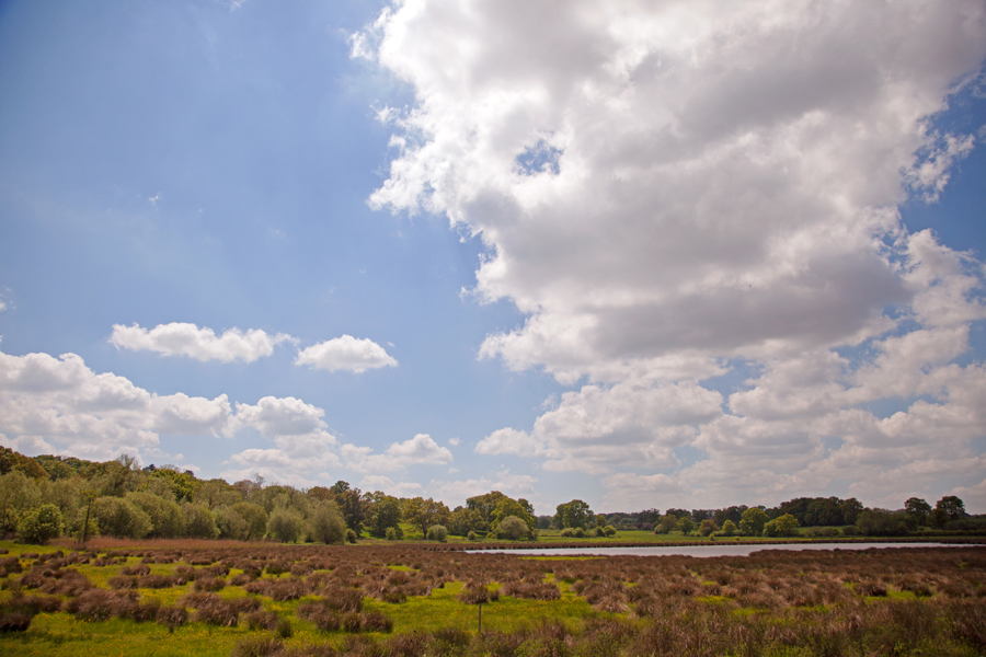 Looking across to the lake