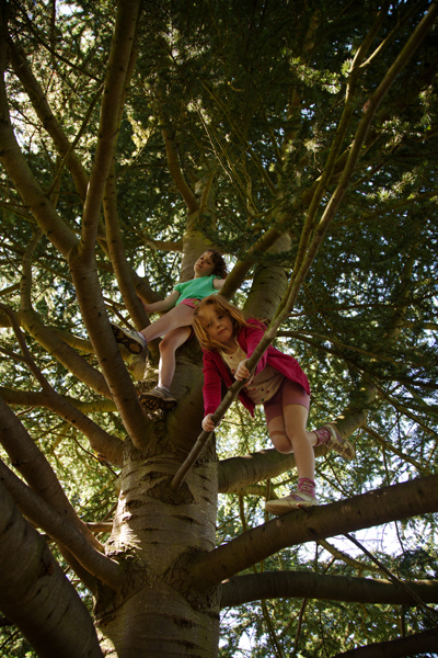 Rebekah and Holly climbing a cedar