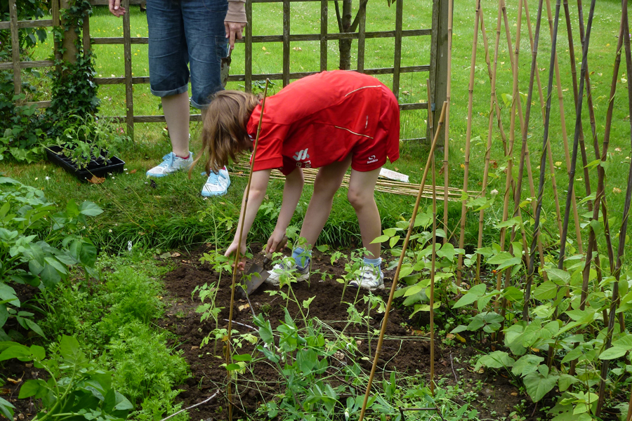 Rebekah planting the tomatoes