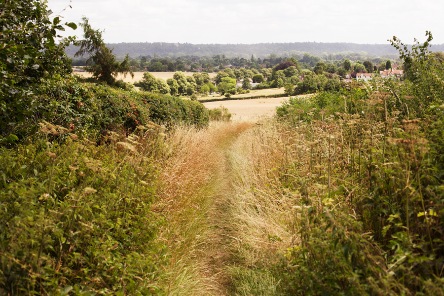 Looking down the path