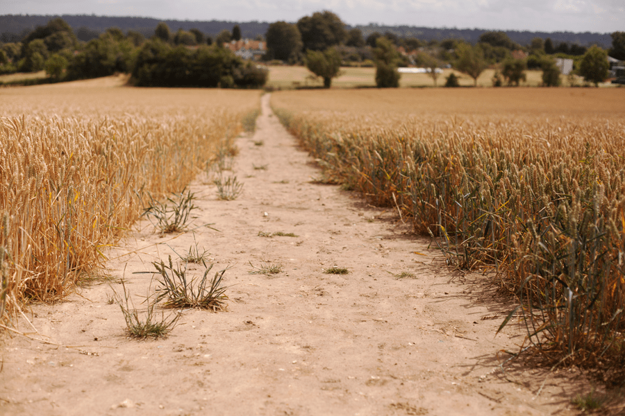 Dust after the heatwave