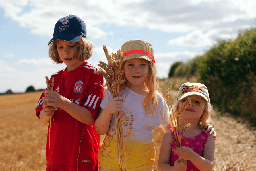 Gathering the leftover wheat