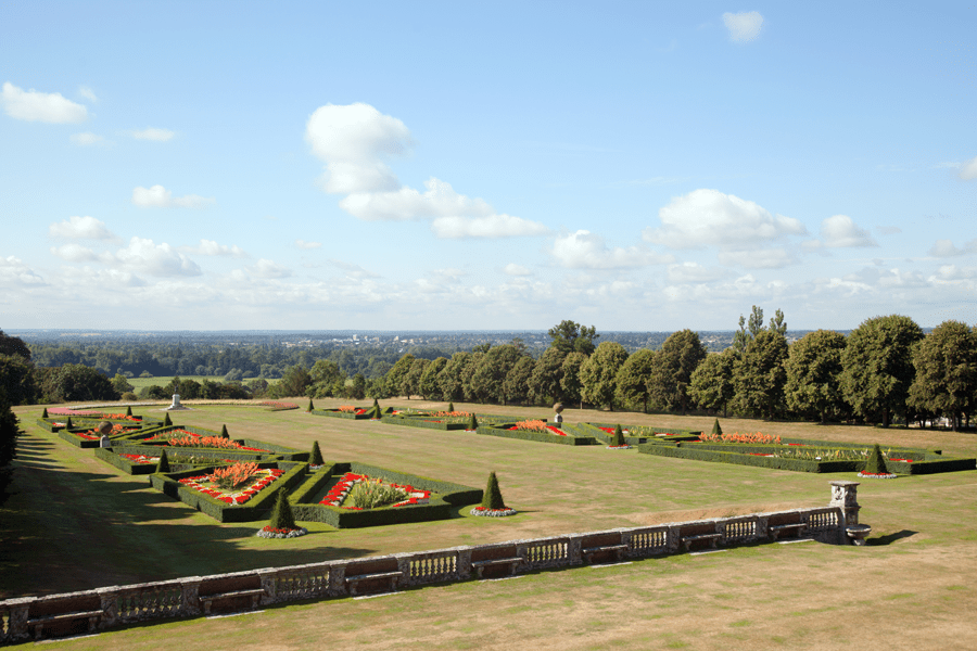 Looking out over the back terrace