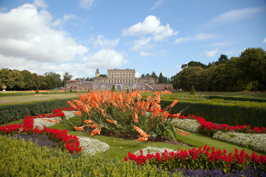 More floral displays