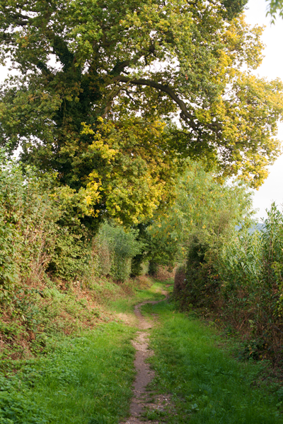 Looking back downhill