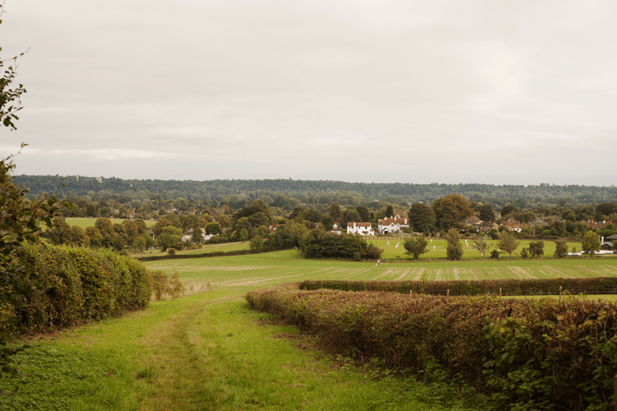 Heading out over the field