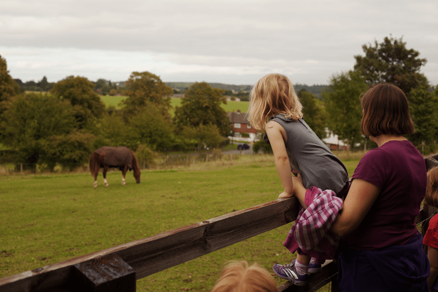 Emily greeting 'Nina' (any horse!)