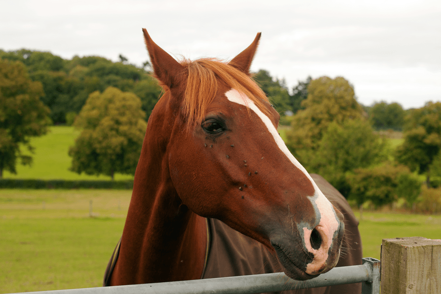 Popping over to say hello