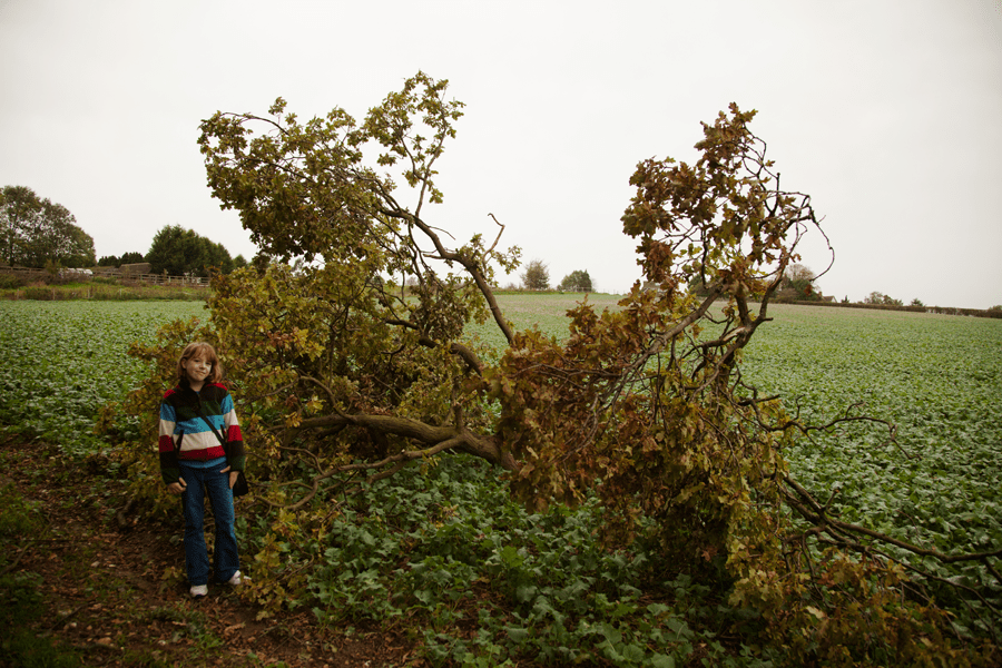 Rebekah with the fallen oak branch