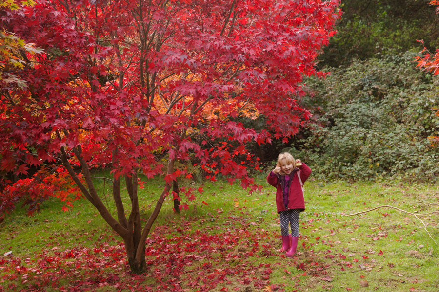 Emily by an acer, with an apple