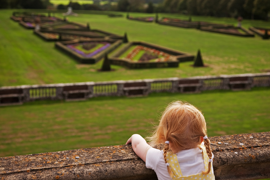 Holly looking out over the back lawn