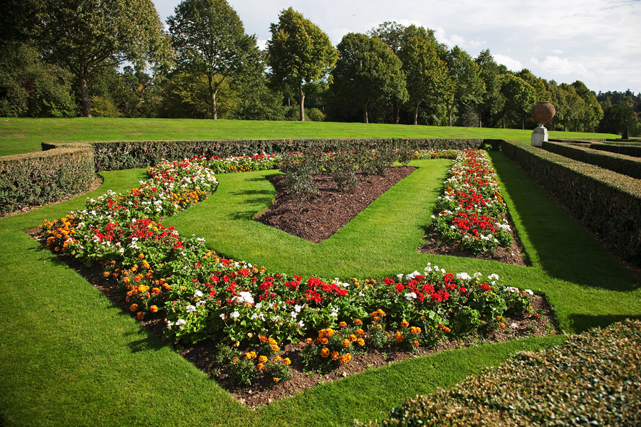 Still colour in the borders