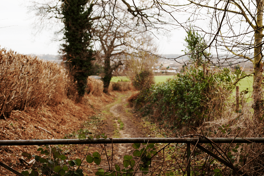 Looking back down the path