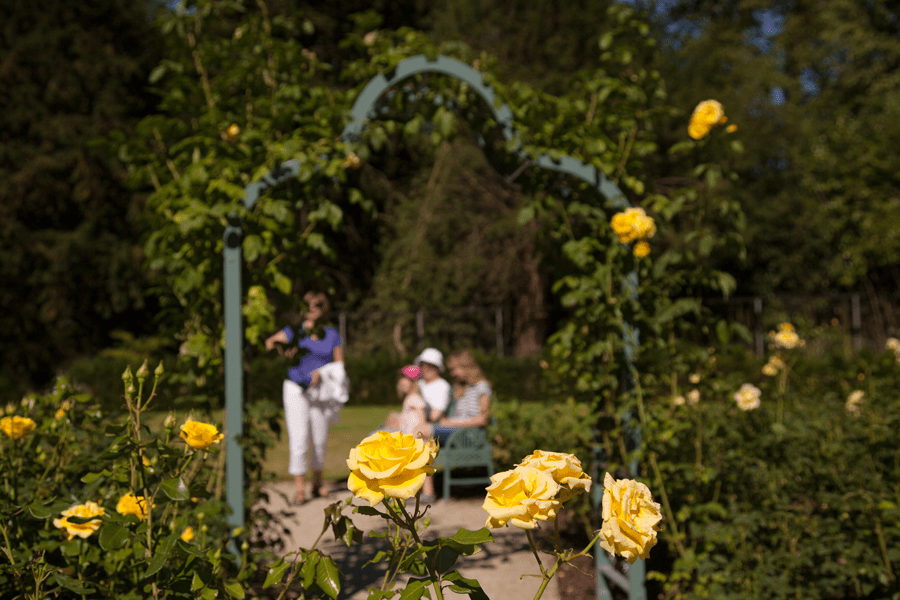 Family framed in the Rose Garden